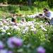 Plymouth resident Christian Gaedeke photographs Sophie Gaedeke and Brianna Eby on Tuesday, June 4. Daniel Brenner I AnnArbor.com